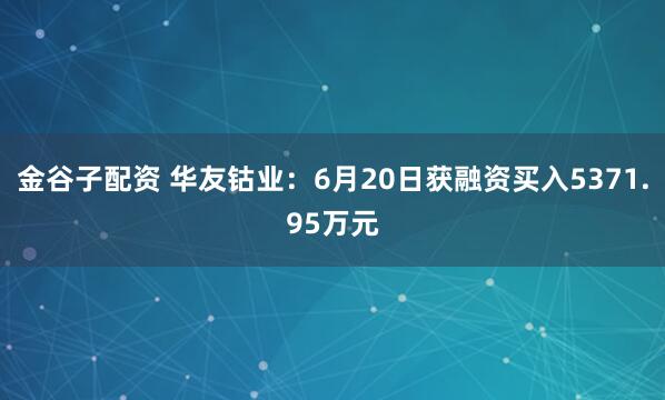 金谷子配资 华友钴业：6月20日获融资买入5371.95万元