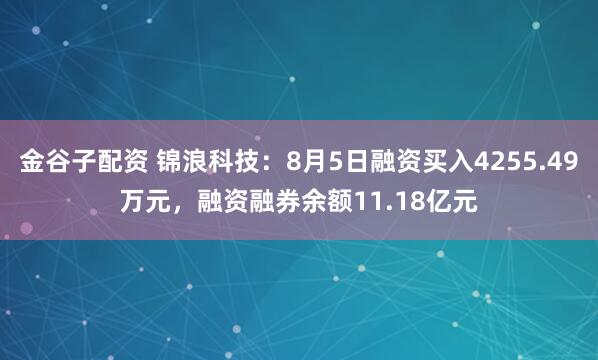 金谷子配资 锦浪科技：8月5日融资买入4255.49万元，融资融券余额11.18亿元
